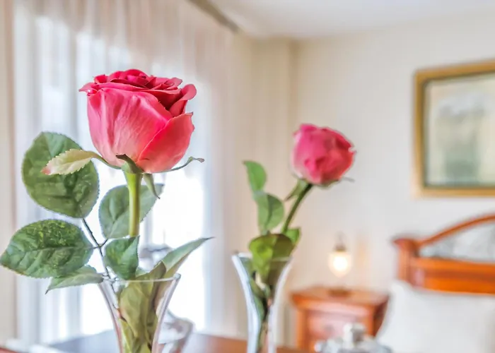 La Serena & Center & Parking *